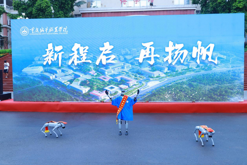 图片 27.png
